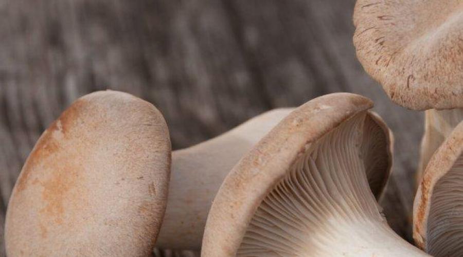 Сколько минут варить белые степные грибы. Особенности и советы по маринованию грибов