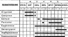 Календарь грибов: грибной календарь на июнь, июль, август, весну и осень