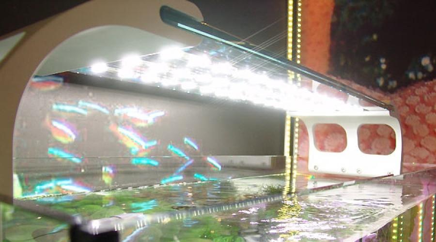 Как добавить свет в аквариум. Как сделать освещение аквариума на светодиодах
