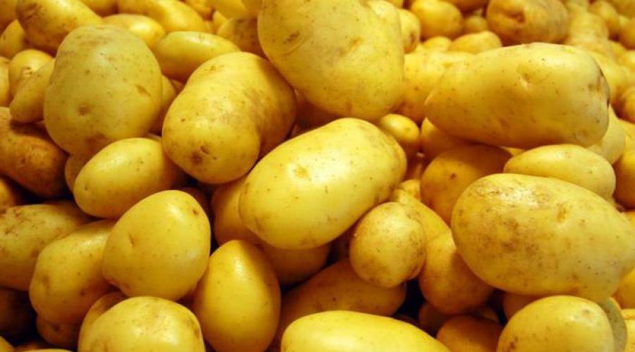 Wie groß ist der Abstand zwischen Kartoffelfurchen?  Kartoffeln, richtiges Pflanzen der Knollen, Pflege nach dem Pflanzen
