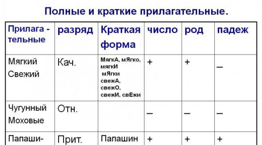 Forme complète et courte des adjectifs en russe.  Formes complètes et courtes des adjectifs qualitatifs