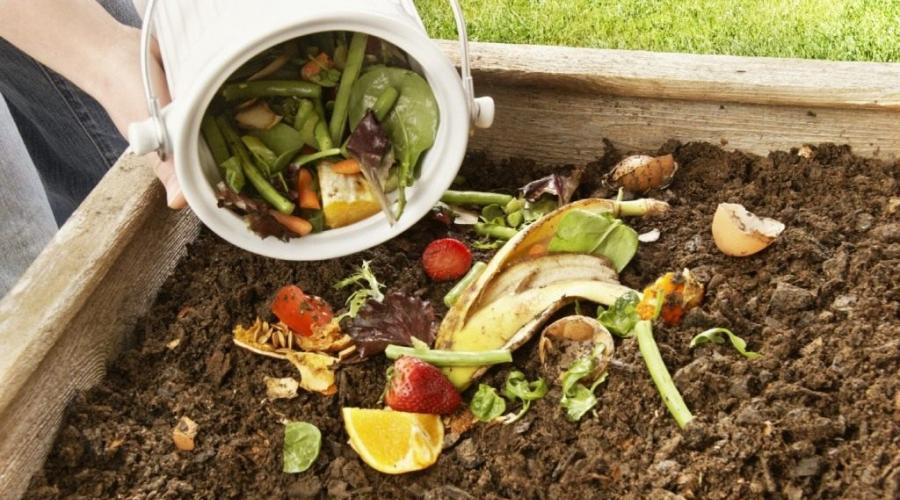 Gramada de ingrasamant.  Sfaturi pentru grădinari despre cum să facă o grămadă de compost