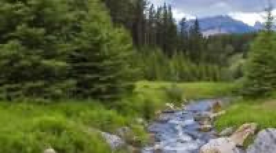 текучие воды. переплыть реку. бурная вода. река убин русло. к чему снится река с быстрым течением.