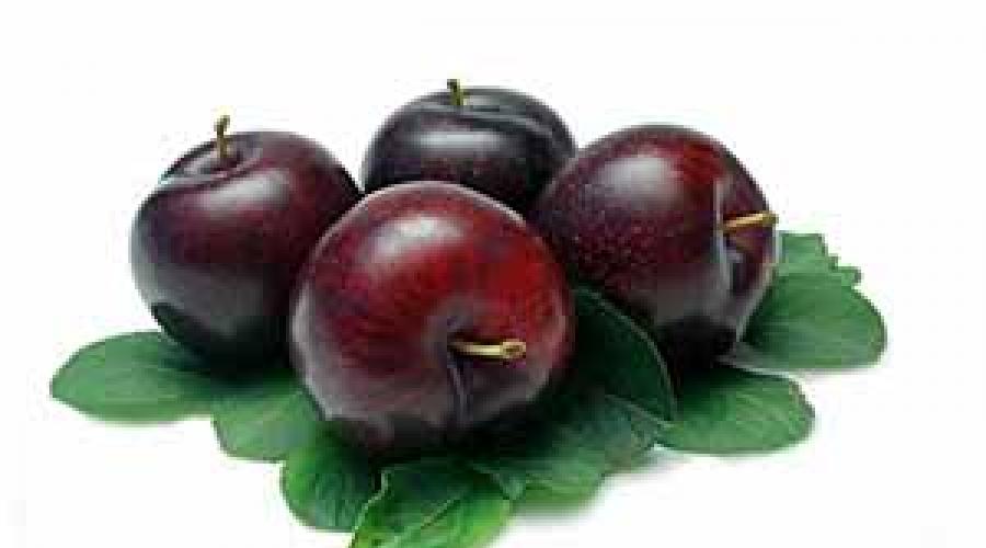 Propriétés utiles des prunes pour le corps humain.  Les avantages et les inconvénients des prunes pour la santé du corps