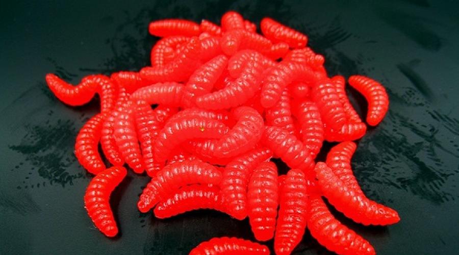К чему снятся опарыши во сне женщине. К чему снятся черви опарыши. Красные черноголовые маленькие черви.