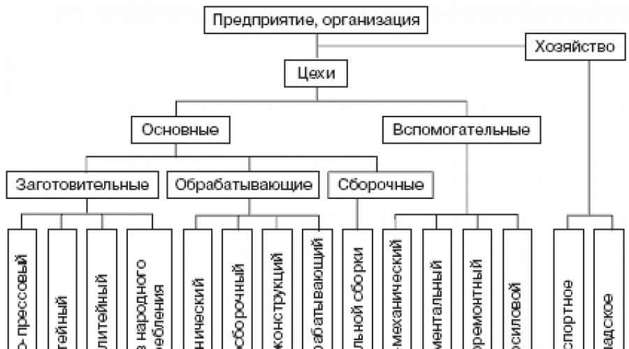 Metode de organizare a proceselor de producție.  Principii de organizare rațională a procesului de producție