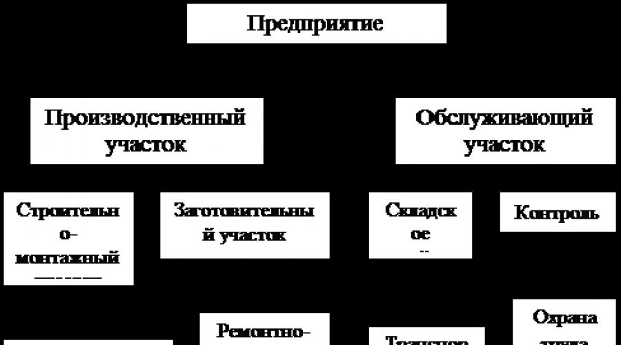 Организационная структура управления производственным подразделением. Производственная структура управления