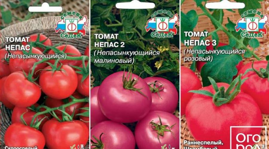 So isolieren Sie ein Beet für Tomaten.  Regeln für den Anbau von Tomaten im Freiland