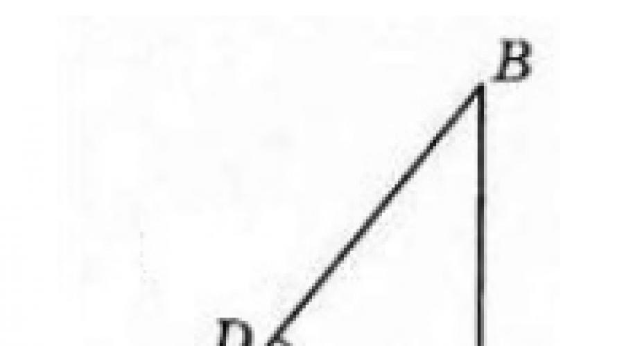 Proportionale Segmente in einem rechtwinkligen Dreieck.  Proportionale Segmente in einem rechtwinkligen Dreieck. Proportionale Segmente in einer rechtwinkligen Dreieckslösung