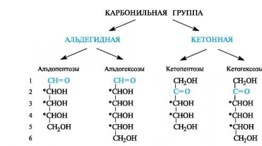 Offene und geschlossene Formen von Monosacchariden.  Zyklische Formen von Monosacchariden, Heworth-Formeln