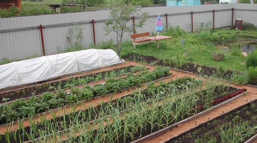 Cum să faci paturi la țară și să pregătești solul pentru plantare cu propriile mâini.  Cum să faci paturi calde la țară Din ce sunt făcute paturile pentru pământ