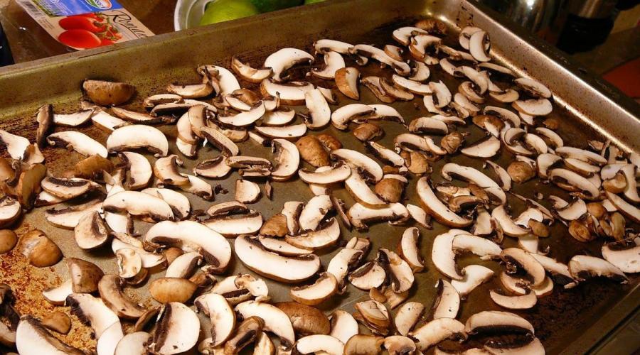 Werden Safranmilchkapseln für den Winter getrocknet?  Welche Pilze werden am häufigsten getrocknet und warum sind nicht alle Sorten dafür geeignet?