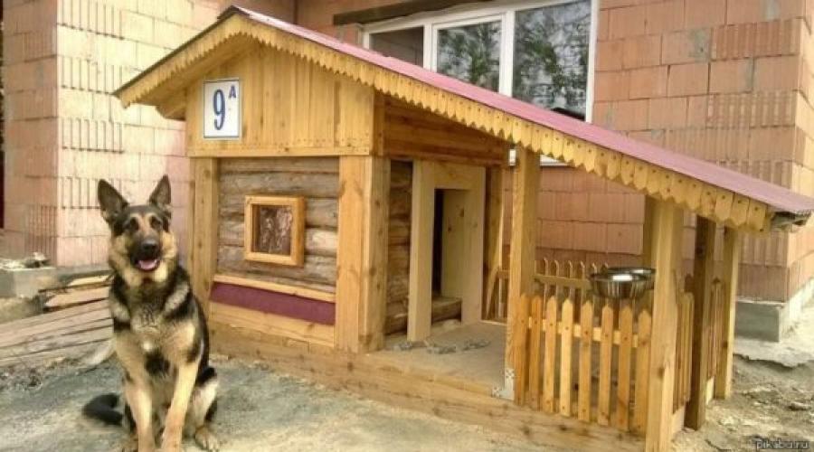 Bauen Sie eine Hundehütte für einen Deutschen Schäferhund, Abmessungen.  Hundehütte zum Selbermachen für einen Deutschen Schäferhund, Zeichnungen, Diagramme, Montageablauf