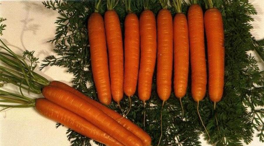 So füttern Sie Karotten im Juli mit Volksheilmitteln.  Wie man Rüben mit Volksheilmitteln für das Wachstum füttert