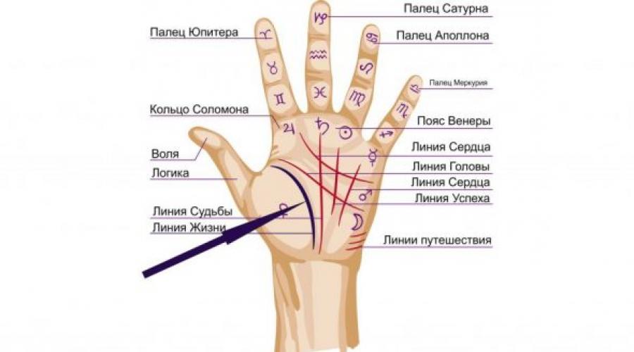 Chiromanție: ce înseamnă linia Vieții pe mâna stângă și dreaptă.  Linia vieții pe mână - cum să descifrezi semnele de pericol