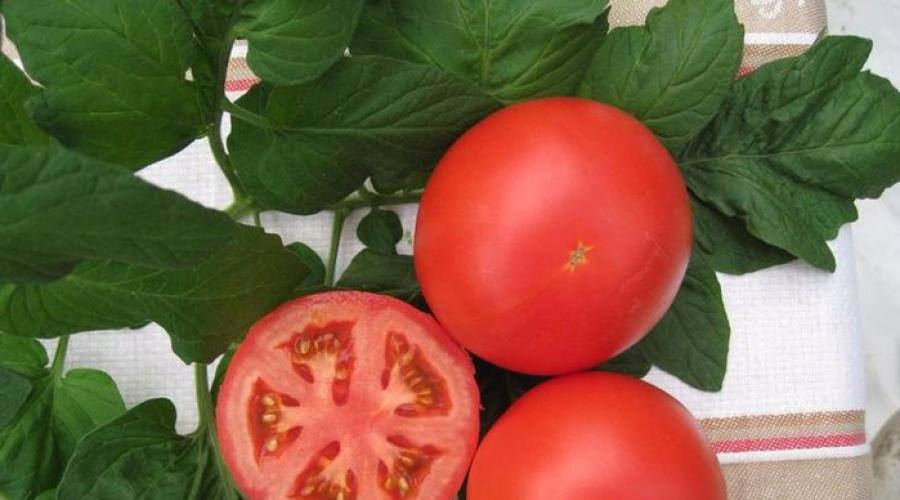 Можно ли с гибридных томатов собирать семена. Что означает F1 в названии сорта? Почему гибридные семена F1 стоят дороже сортовых? Как получают гибриды F1
