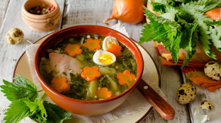 Rezept für Suppe mit jungen Brennnesseln und Eiern.  Brennnesselsuppe – ein einfaches Rezept mit Eiern