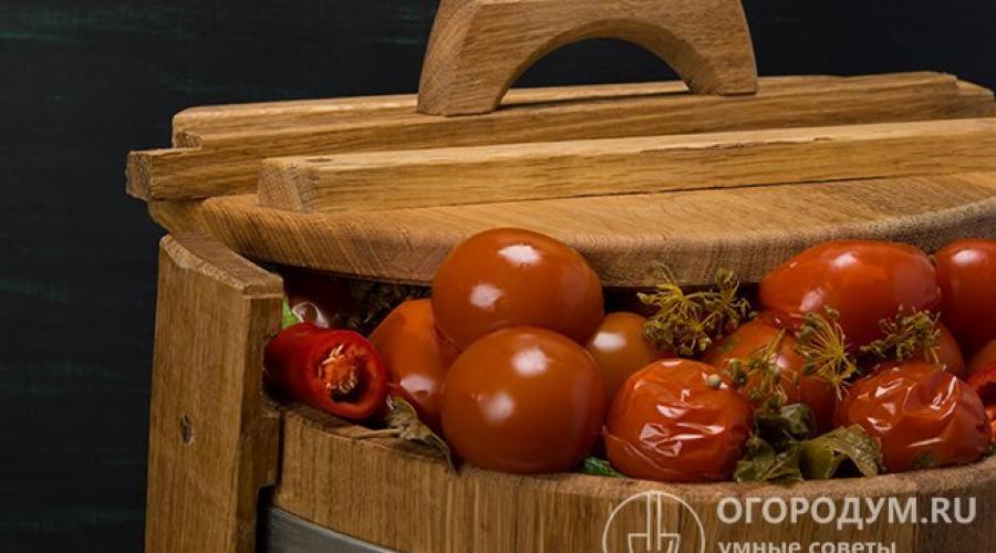 Как посолить зеленые помидоры в кастрюле. Как приготовить вкусные малосольные помидоры