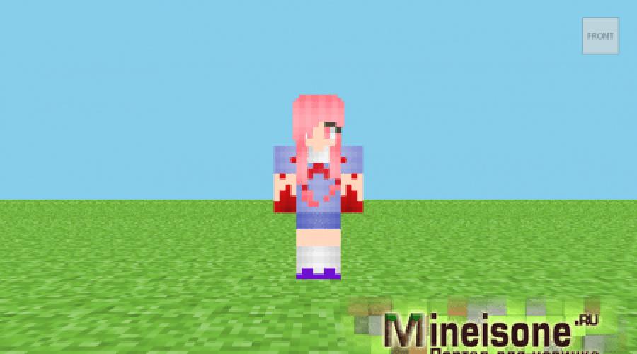 Skins d'anime pour Minecraft.  Skins d'anime pour Minecraft - meilleurs styles