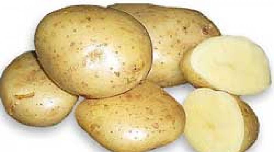 Variétés de pommes de terre.  Description des variétés de pommes de terre