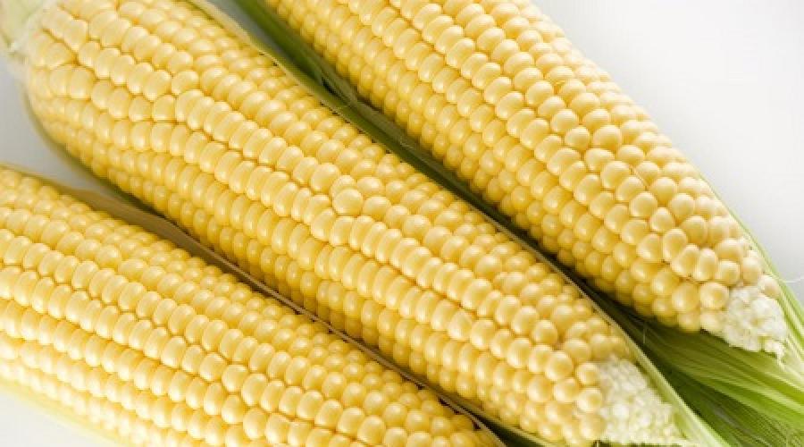 Удачные рецепты: как достаточно быстро сварить кукурузу? Как сварить кукурузу мягкой и сочной: несколько секретов. 