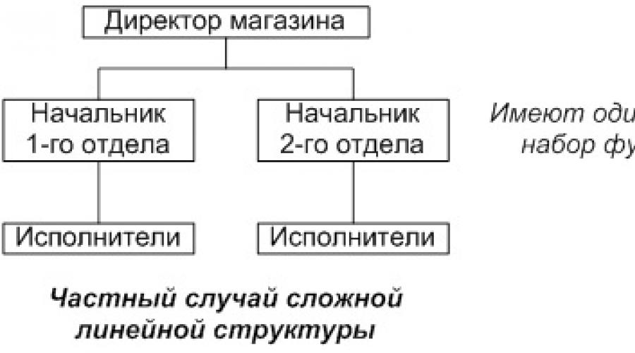 Организационная структура виды. Организационная структура предприятия