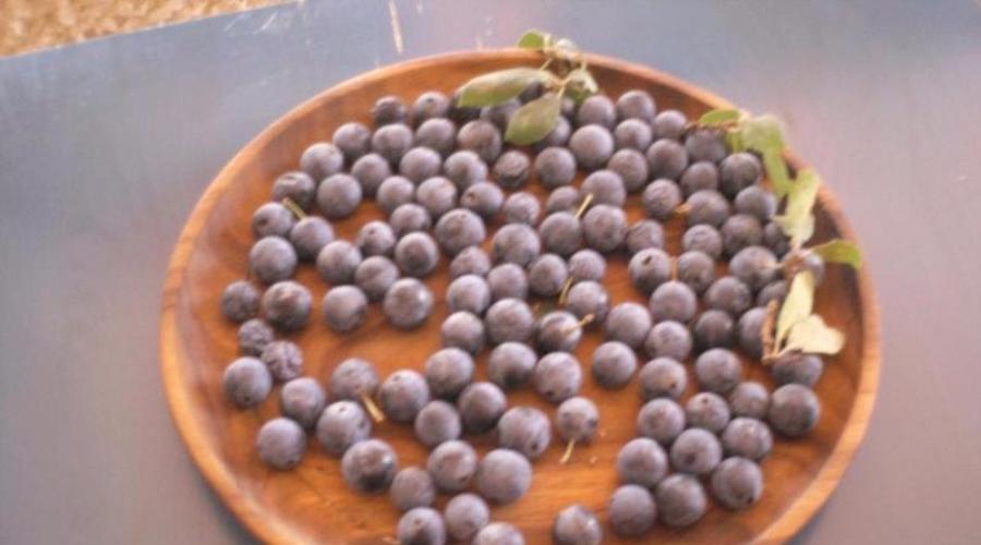 Congélation et séchage des prunes et des prunelles.  Que peut-on faire d'épines pour l'hiver: recettes