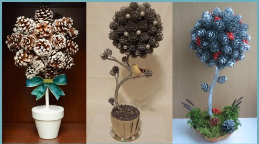 Topiary aus Zapfen und Sisal.  Formschnitt mal anders: stilvolles Kunsthandwerk aus den Geschenken des Herbstes
