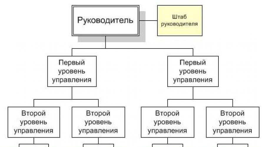 Linear-funktionale Führungsstruktur: Diagramm.  Funktionale, linear-funktionale Führungsstruktur