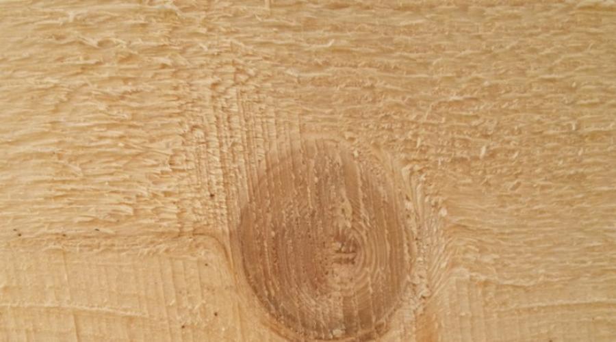 Principalele defecte ale lemnului.  Proprietățile mecanice ale lemnului