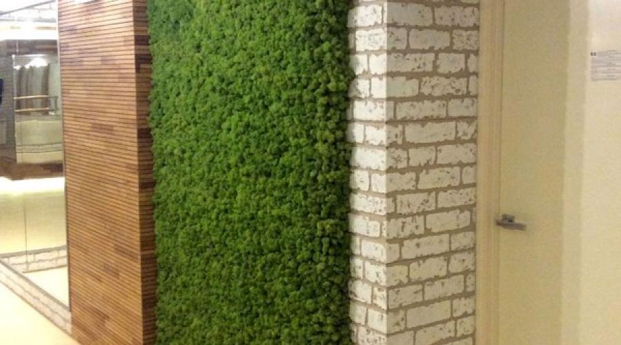 Озеленение дома: живые стены и композиции из мхов. Мох в интерьере – как сделать красивые украшения из мха для интерьера Искусственный мох для стен