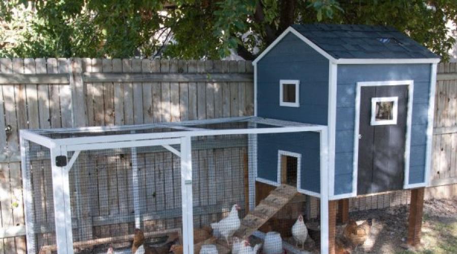 Wir bauen selbst einen Hühnerstall für Broiler.  Für den Sommer bauen wir auf dem Land einen Hühnerstall für Masthähnchen. Fotogalerie: Sommer-Hühnerställe