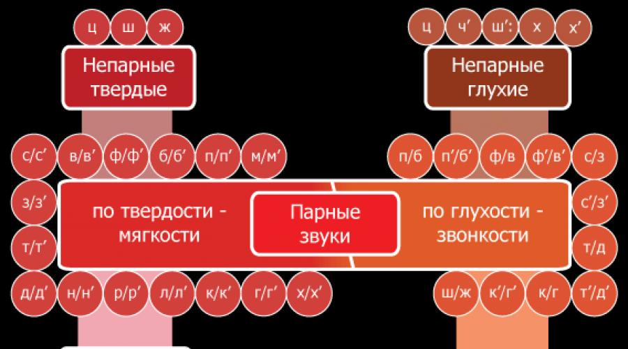 Таблица гласных звуков. Сколько в русском языке гласных и согласных звуков