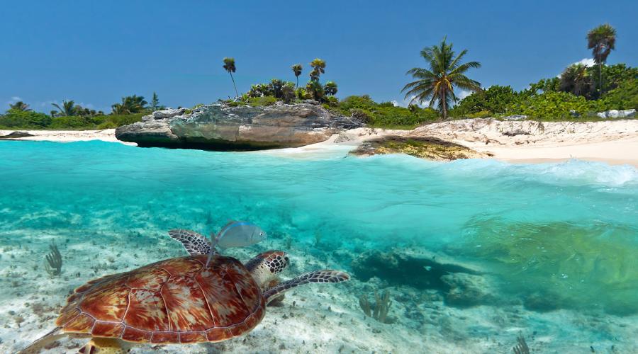 Wo ist der beste Strandurlaub im Winter?  Die wichtigsten Vor- und Nachteile eines Urlaubs auf den Malediven