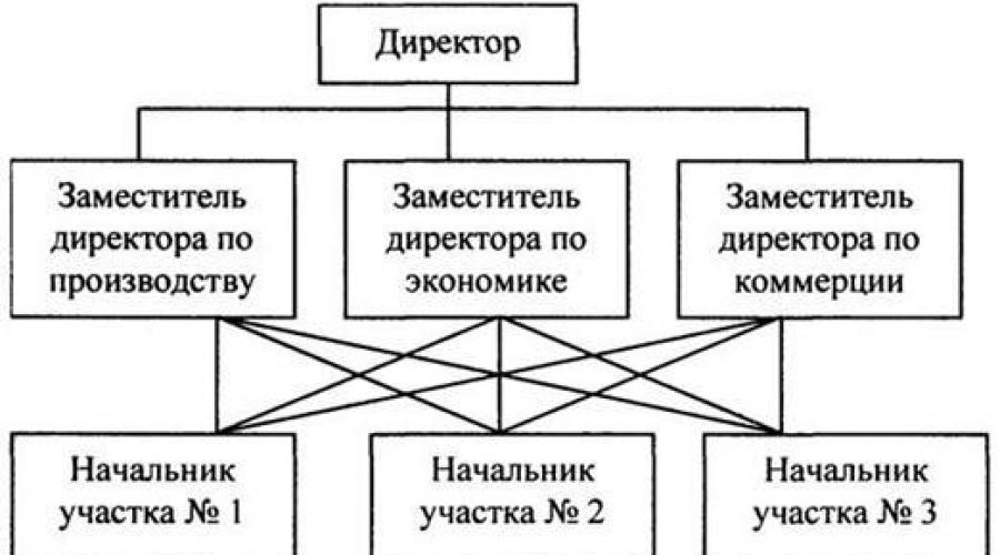 Structura organizatorică liniară a managementului întreprinderii.  Structura organizatorică a managementului