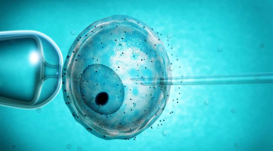 Künstliche Befruchtung ist eine Kurzbezeichnung.  Künstliche Befruchtung, IVF – eine Lösung für das Problem der Unfruchtbarkeit