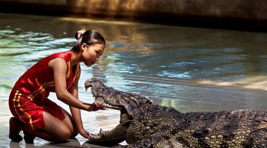 К чему снится крокодил женщине в воде. К чему снится крокодил