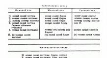 ﻿ Russische Sprache und Sprachkultur: Adjektiv