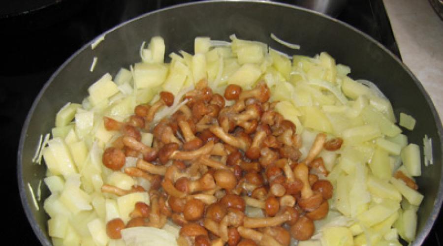 Wie man gekochte Pilze mit Kartoffeln brät.  Geschmorte Honigpilze mit Kartoffeln